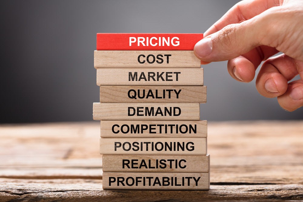 E-commerce Pricing Strategies for Competitive Advantage